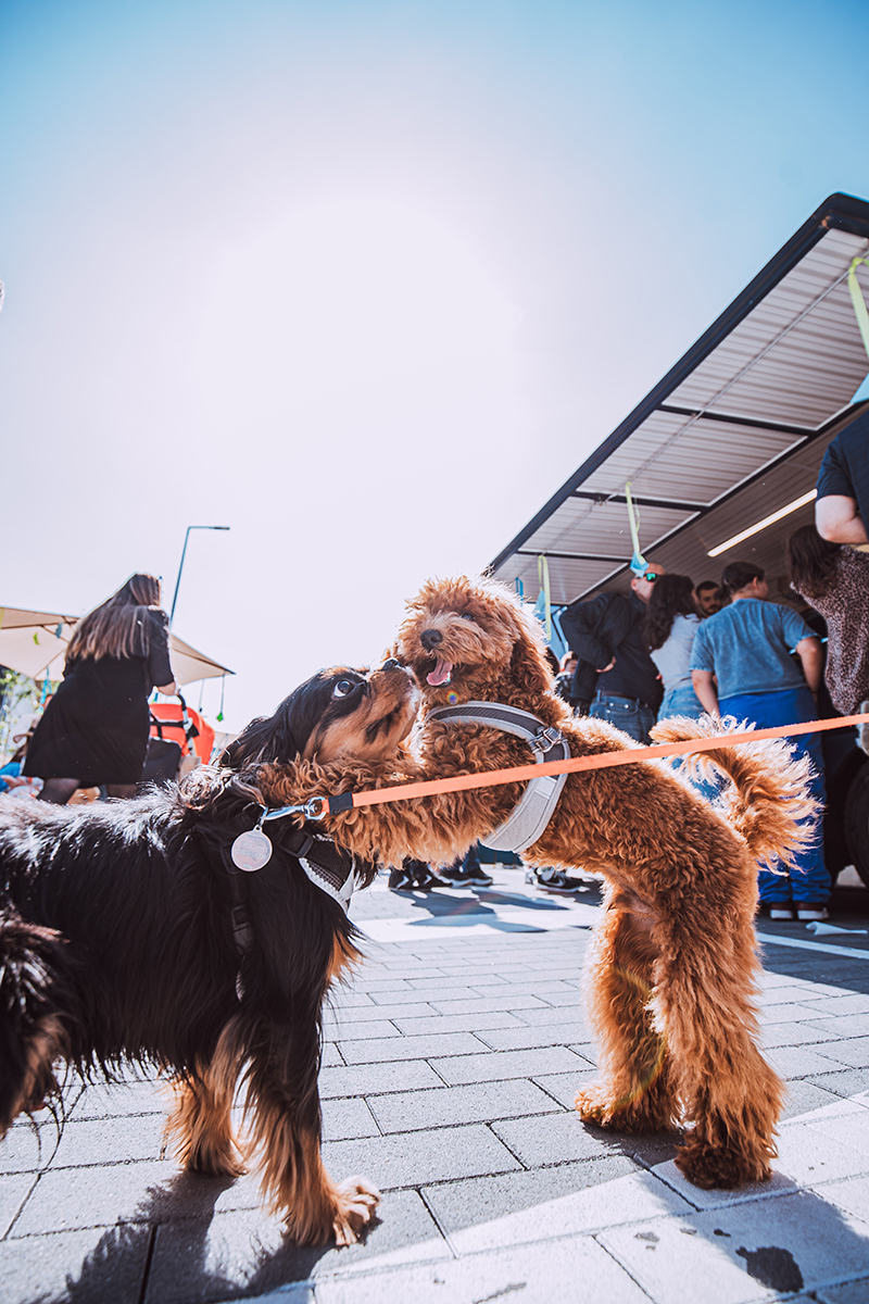 onFOCUS home! River Park its first residents with an